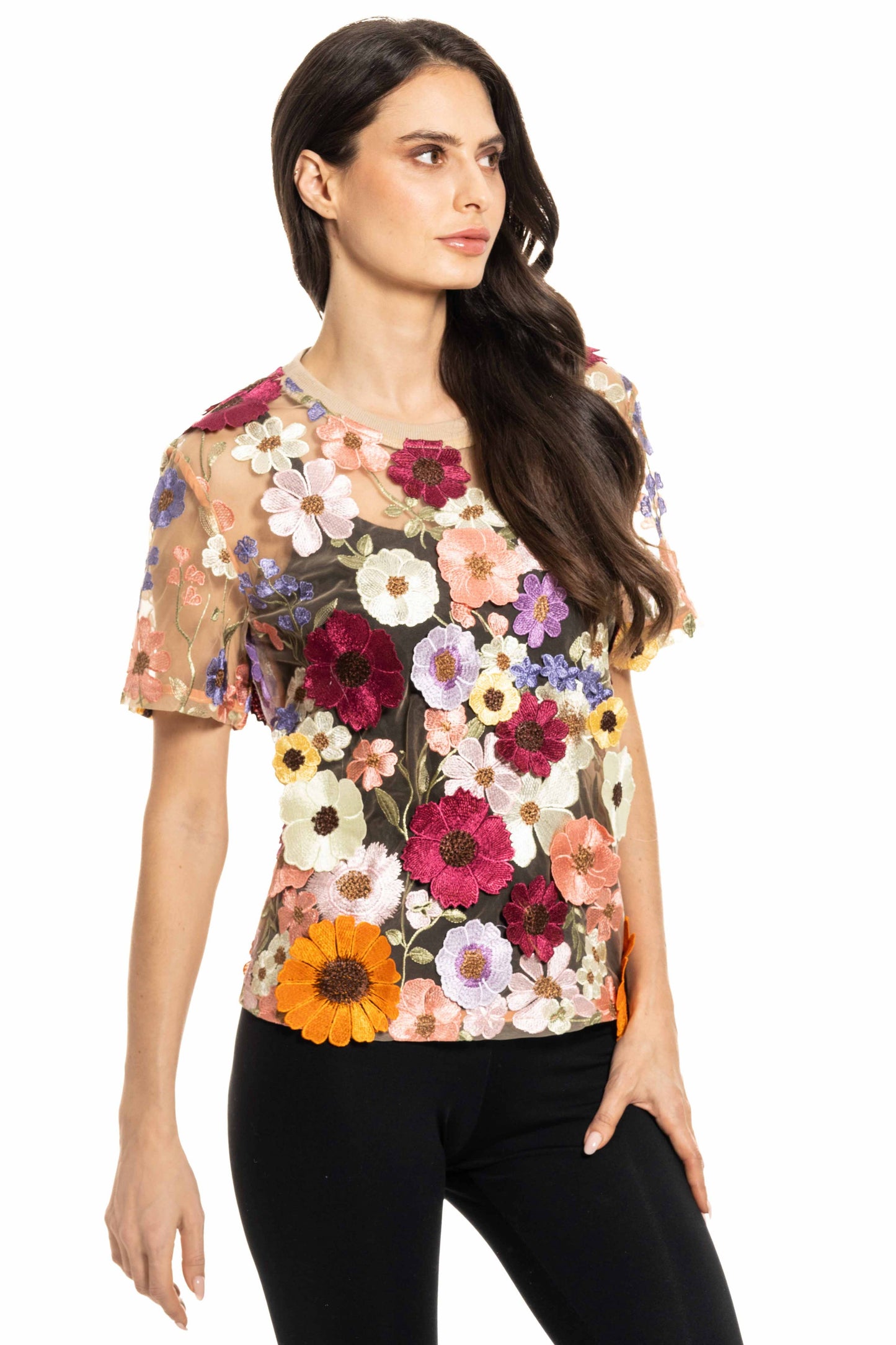 Sheer top w/ embroidery beige